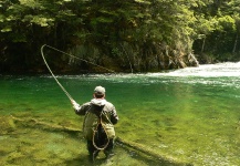 Brett Macalady 's Fly-fishing Situation Pic – Fly dreamers 