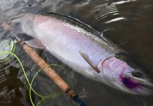 Fly-fishing Photo of Steelhead shared by Spey Co Fly Reels – Fly dreamers 