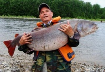 Fly-fishing Photo of Taimen shared by Vasil Bykau – Fly dreamers 