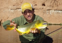 Sebastián Arista 's Fly-fishing Image of a Dorados – Fly dreamers 