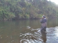 Fly fishing picture