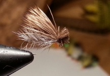 A blog post on some good sedge flies