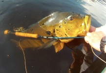  Fotografía de Pesca con Mosca de Tucunare - Pavón por Juan Pablo Gozio – Fly dreamers 