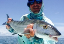 Flávio  Schmeil  's Fly-fishing Photo of a Bonefish – Fly dreamers 