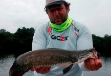 Fly-fishing Picture of Arapaima shared by Juan Pablo Gozio – Fly dreamers