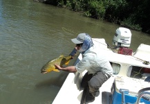 Fly-fishing Situation of Golden Dorado - Picture shared by Fernando Lastero – Fly dreamers