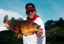 Juan Pablo Gozio 's Fly-fishing Picture of a Peacock Bass – Fly dreamers 