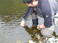 Foto de pesca con mosca