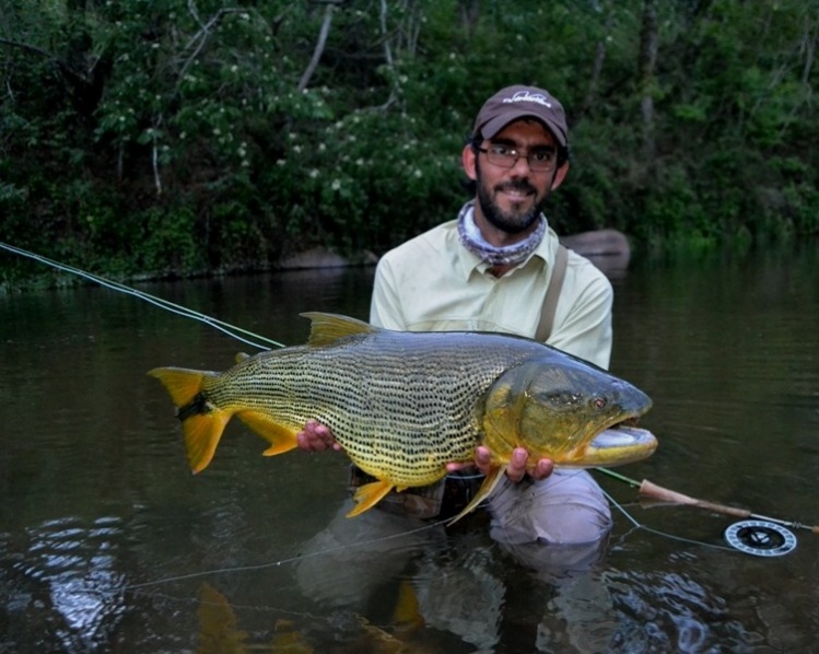 Rio dorado, Salta, pesca de dorados con mosca