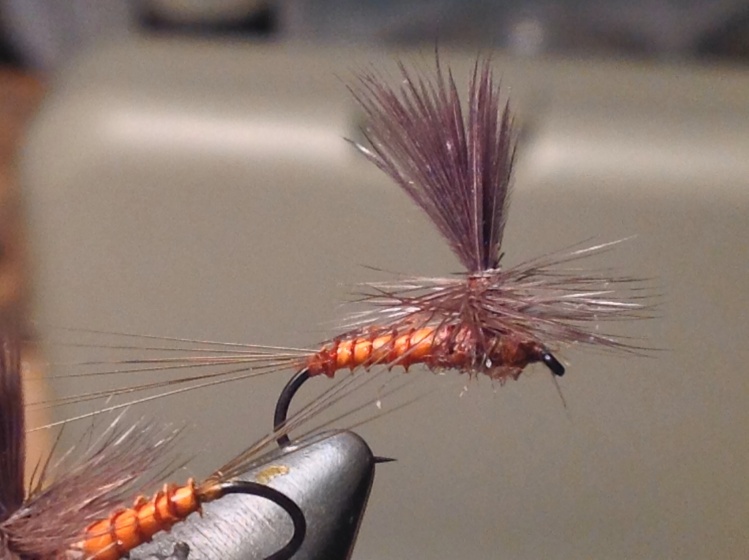 #14 Red Quill Parachute to match the male E. subvaria dun.