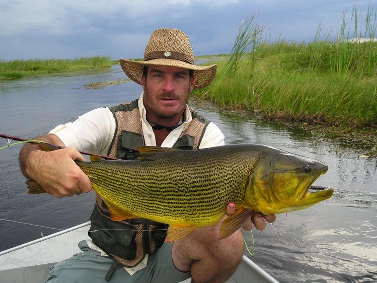 Dorado pescado en el Ibera