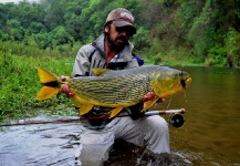 Fly-fishing Picture of Golden Dorado shared by Alejandro Bianchetti – Fly dreamers