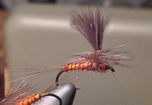 Fly-tying Image by Bryan Frey 