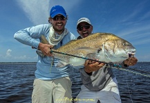 Gerhard Laubscher 's Fly-fishing Photo of a Black Drum – Fly dreamers 