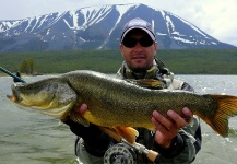 Mongolian Grayling