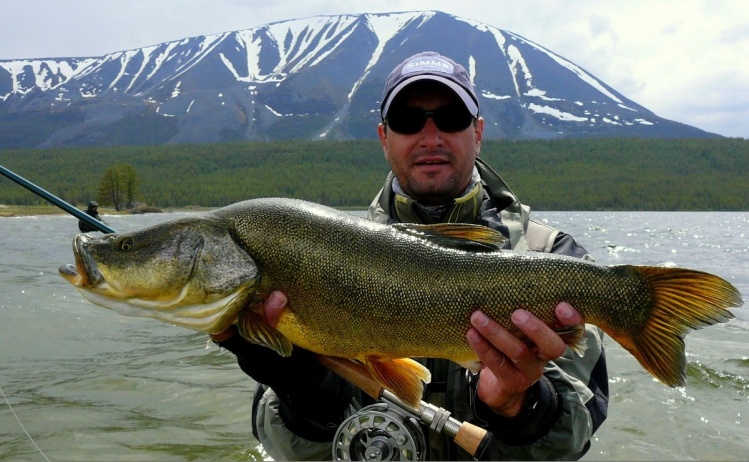 The strong and heavy Altai Osman is a prehistoric fish endemic only to the deep lakes of the Altai Mountains and a grand sport fish for the adventurous flyman.  - CORCON Craft