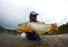 Fly-fishing Picture of Golden Dorado shared by Ariel Gutierrez – Fly dreamers