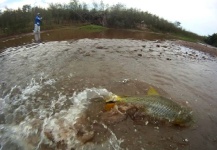 Golden Dorado Fly-fishing Situation – Ariel Gutierrez shared this Pic in Fly dreamers 
