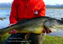 Jan Haman 's Fly-fishing Photo of a Altai Osman – Fly dreamers 