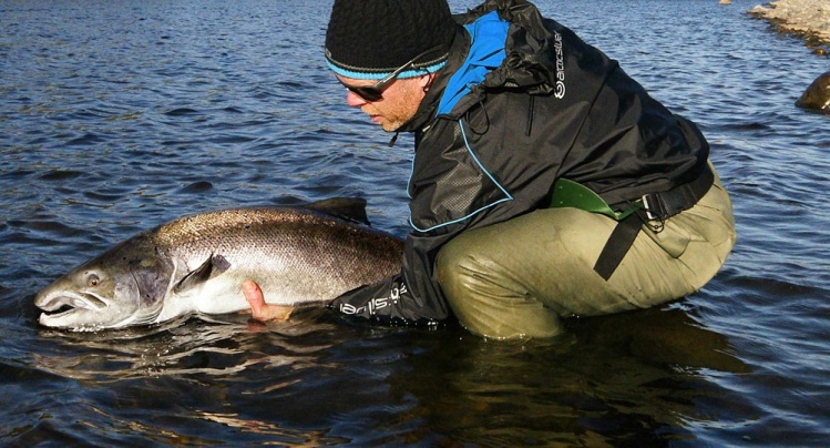 Robert Selfors releasing a beautiful Norwegian salmon.