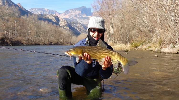 Barbels in winter