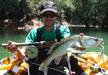 Fly-fishing Pic of Walleye shared by Edu Cesari – Fly dreamers 