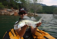 Fly-fishing Picture of Walleye shared by Edu Cesari – Fly dreamers