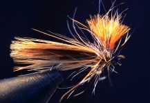 Good Fly-tying Picture by Pierre Lainé 