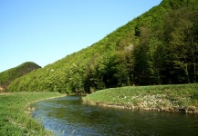 river Bednja