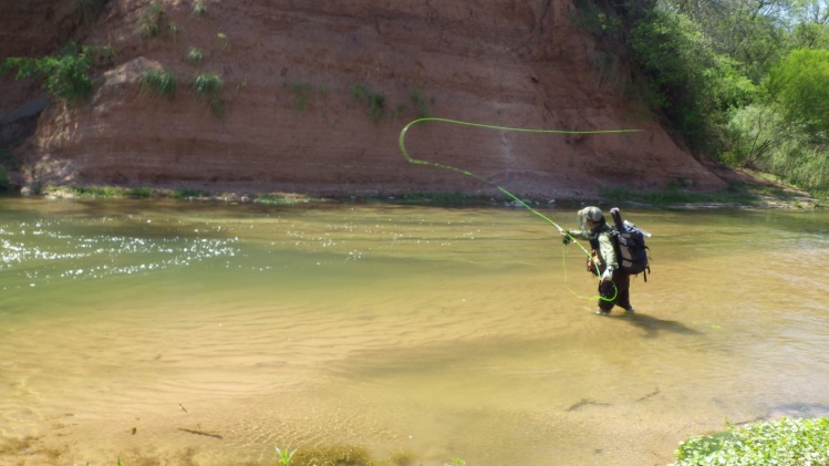 Casteando en el Río Dorado, Salta en busca del Dorado.