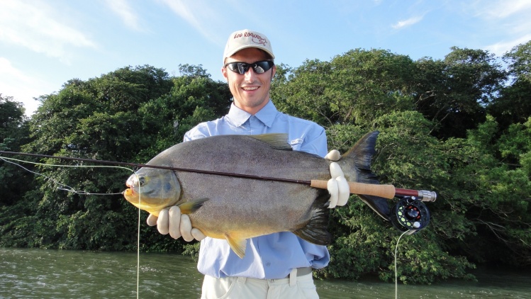 A beautiful 14 lbs. Pacu caught in the High Parana river-Corrientes-Argentina, 