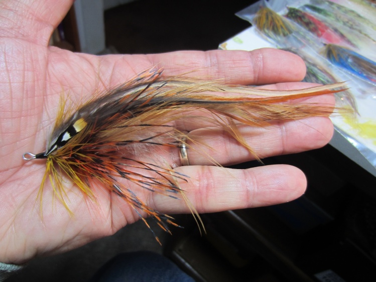 Steelhead and Brown patterns.....