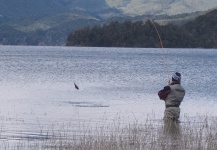  Trucha arcoiris – Excelente Situación de Pesca con Mosca – Por Mariano Salibe