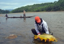 Fly-fishing Photo of Golden Dorado shared by Luciano Saldise – Fly dreamers 