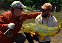 Fly-fishing Picture of Golden Dorado shared by Luciano Saldise – Fly dreamers