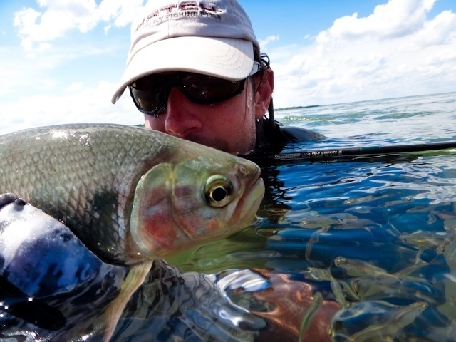 The Bonefish like speed or the so called “Salmon of the river” is a fiercely fighting freshwater fish known for its line-ripping runs. It is undoubtedly one of the most exquisite fishing that the High Parana river offers.