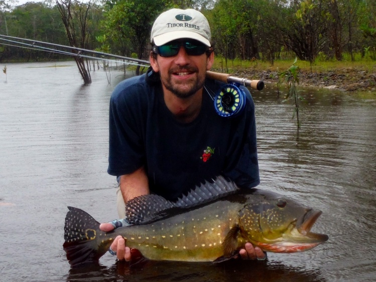 18 lb Peacock Bass "Paca" Açu at Itapara River Amazon Brazil