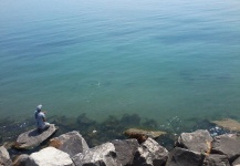  Packs of carp on the fly in the Great lakes... LOOK CLOSE TO SEE THE PODS>>> 