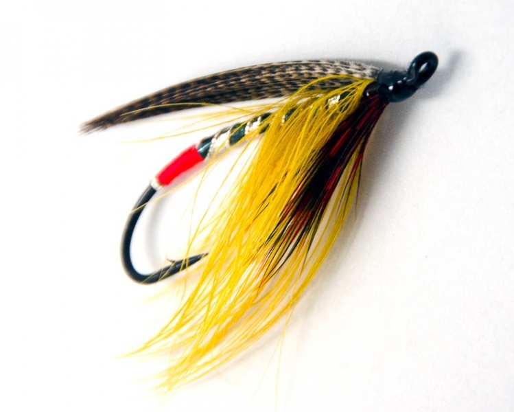 Burnt goose feather dyed in turmeric Spey