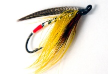 Fly for Atlantic salmon shared by Alan Bithell – Fly dreamers 