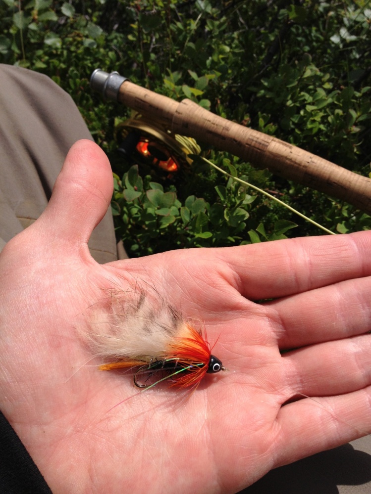 When I am fishing for Sea trout, which is usually in September, this is my favorite fly. The Black Ghost Sunburst #8. The Sea trout in this river are from 1-10 pounds!