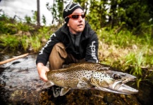 Fly-fishing Photo of Brown trout shared by Alexander Lexén – Fly dreamers 