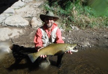 Fly-fishing Pic of brown trout shared by Jim Misiura – Fly dreamers 