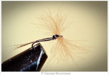  Imagen de atado de moscas por George Secareanu – Fly dreamers