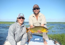 Fly-fishing Picture of Golden Dorado shared by Francisco Defferrari – Fly dreamers
