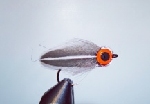 Good Fly-tying Photo shared by LeGrille FlyFishing | Fly dreamers 