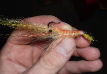 Interesting Fly-tying Photo shared by Jan Wagner – Fly dreamers 