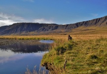 Nice Fly-fishing Situation of Atlantic salmon - Image shared by Elias Petur Thorarinsson  – Fly dreamers