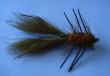 Segundo Beccar Varela 's Fly-tying for Brook trout - Picture – Fly dreamers 