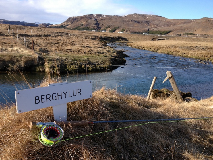 Pool Berghylur in Varmá and Þorleifslaekur!